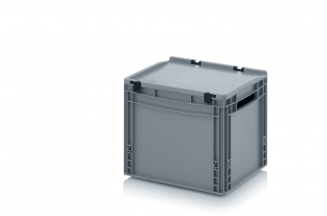 Euro container with hinge lid