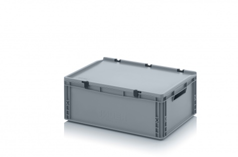 Euro container with hinge lid