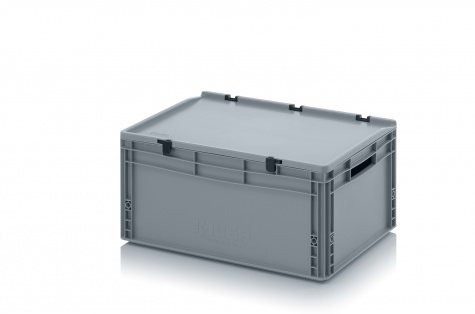 Euro container with hinge lid