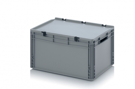 Euro container with hinge lid