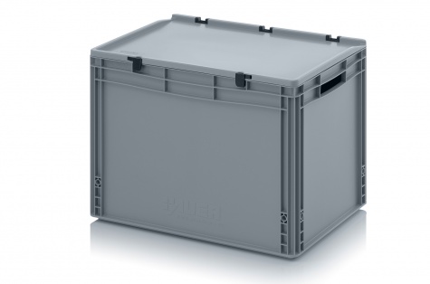 Euro container with hinge lid