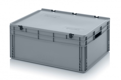 Euro container with hinge lid