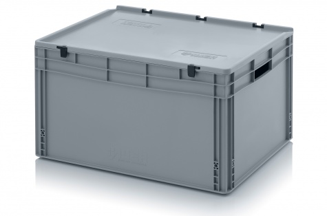 Euro container with hinge lid