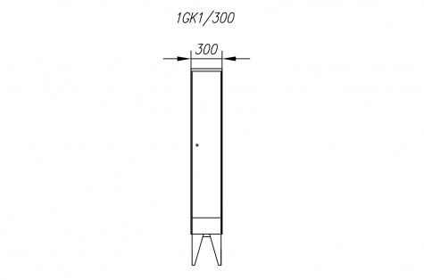 Wardrobe 1GK, 1-door, door 300 mm